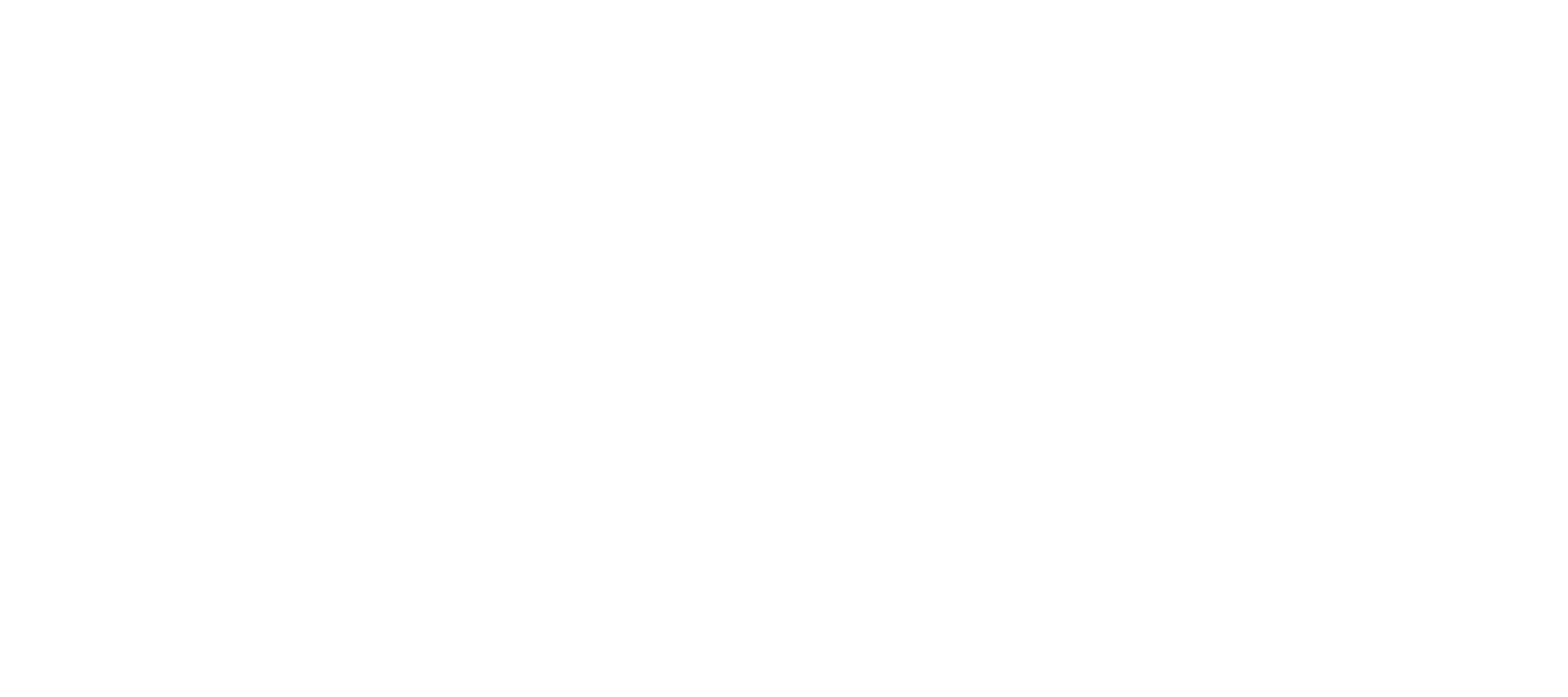 hock shoes-